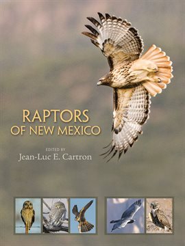 Cover image for Raptors of New Mexico