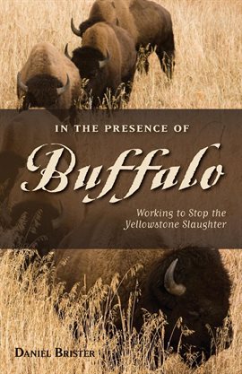 Cover image for In the Presence of Buffalo