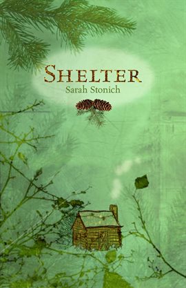 Imagen de portada para Shelter