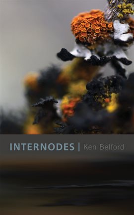 Cover image for Internodes