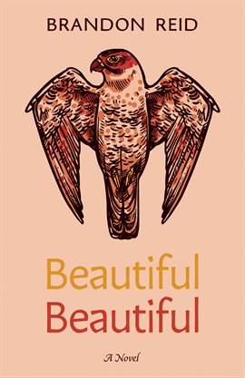 Cover image for Beautiful Beautiful