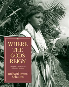 Cover image for Where the Gods Reign