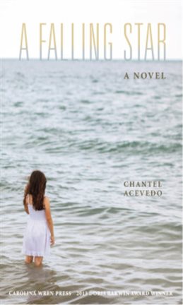 Cover image for A Falling Star