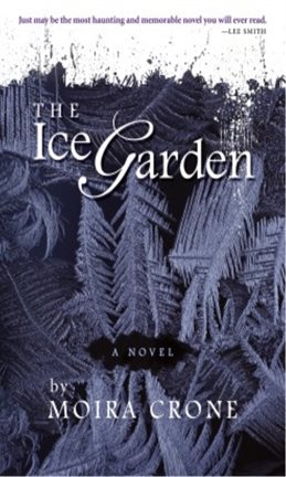 Cover image for The Ice Garden