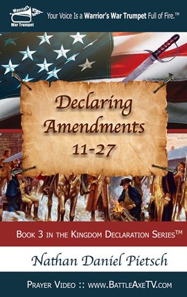 Cover image for Declaring Amendments 11-27