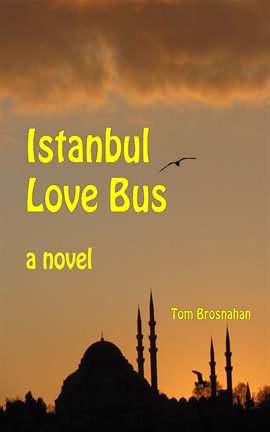 Imagen de portada para Istanbul Love Bus
