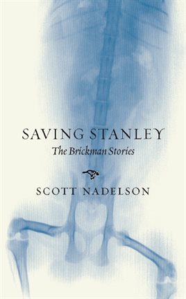 Cover image for Saving Stanley