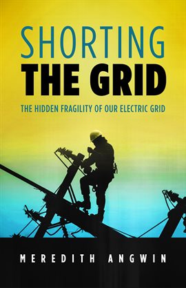 Cover image for Shorting the Grid