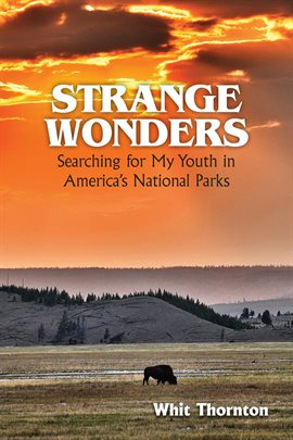 Imagen de portada para Strange Wonders