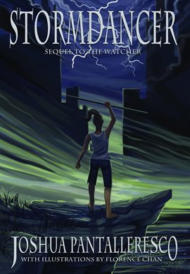 Cover image for Stormdancer