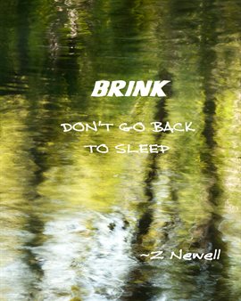 Cover image for Brink