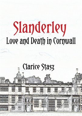 Cover image for Slanderley