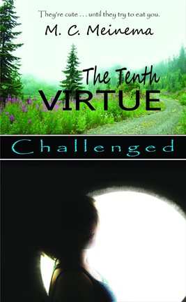 Imagen de portada para The Tenth Virtue