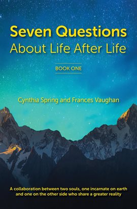 Cover image for 7 Questions About Life After Life