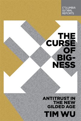 Cover image for The Curse of Bigness