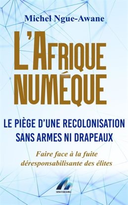 L'Afrique Numérique