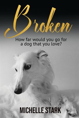 Imagen de portada para Broken