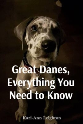 Cover image for Great Danes, Everything You Need to Know