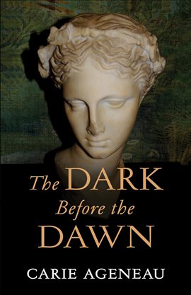 Cover image for The Dark Before the Dawn