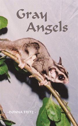 Cover image for Gray Angels