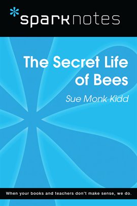 Cover image for The Secret Life of Bees