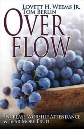 Cover image for Overflow