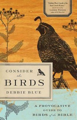 Cover image for Consider the Birds