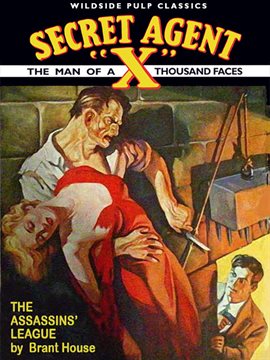 Cover image for Secret Agent X