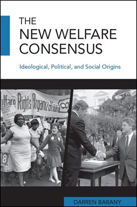Cover image for The New Welfare Consensus
