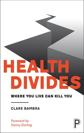 Cover image for Health Divides