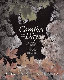Cover image for Comfort for the Day