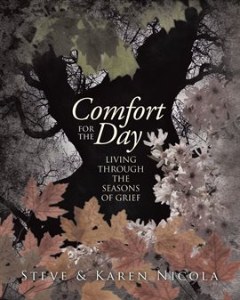 Cover image for Comfort for the Day