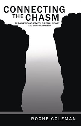 Cover image for Connecting the Chasm