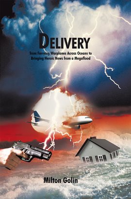 Imagen de portada para Delivery