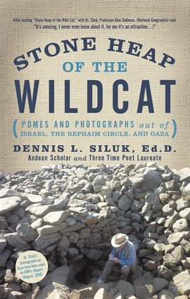 Cover image for Stone Heap of the Wildcat