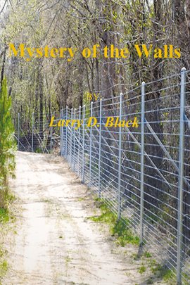 Cover image for Mystery of the Walls