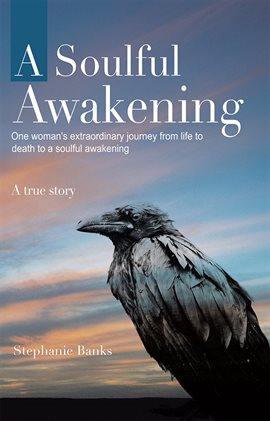 Cover image for A Soulful Awakening