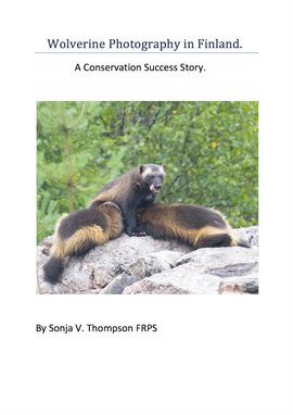 Cover image for Wolverine Photography in Finland