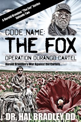 Cover image for Code Name: The Fox