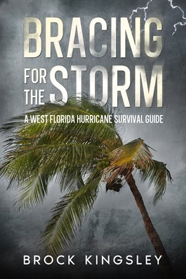 Cover image for Bracing for the Storm