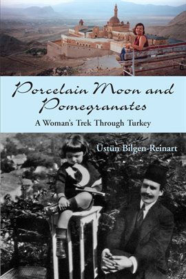 Cover image for Porcelain Moon and Pomegranates