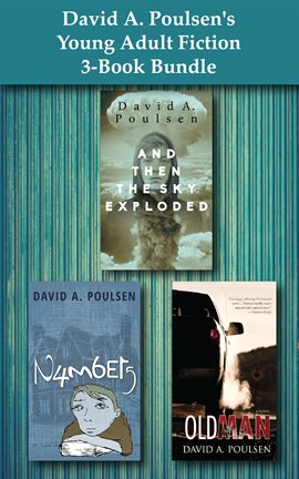 Cover image for David A. Poulsen's Young Adult Fiction 3-Book Bundle