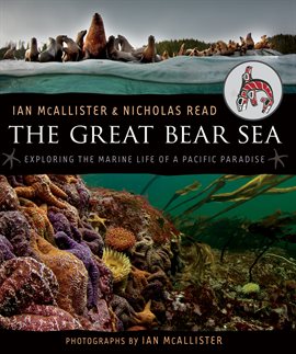 Cover image for The Great Bear Sea