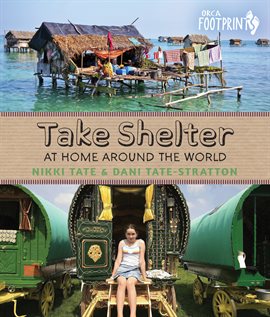 Cover image for Take Shelter