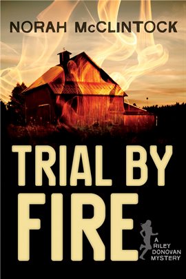 Cover image for Trial by Fire