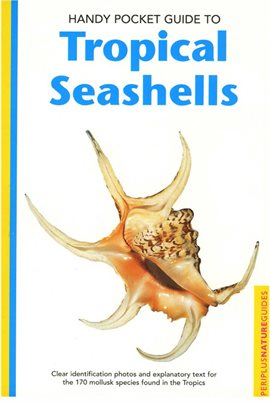 Cover image for Handy Pocket Guide to Tropical Seashells