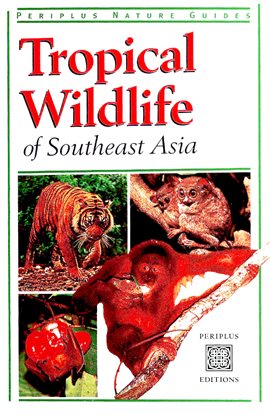 Cover image for Tropical Wildlife