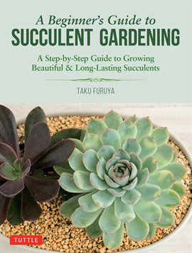 Cover image for A Beginner's Guide to Succulent Gardening
