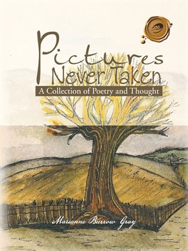 Cover image for Pictures Never Taken