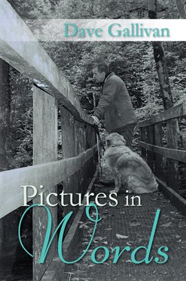 Cover image for Pictures in Words